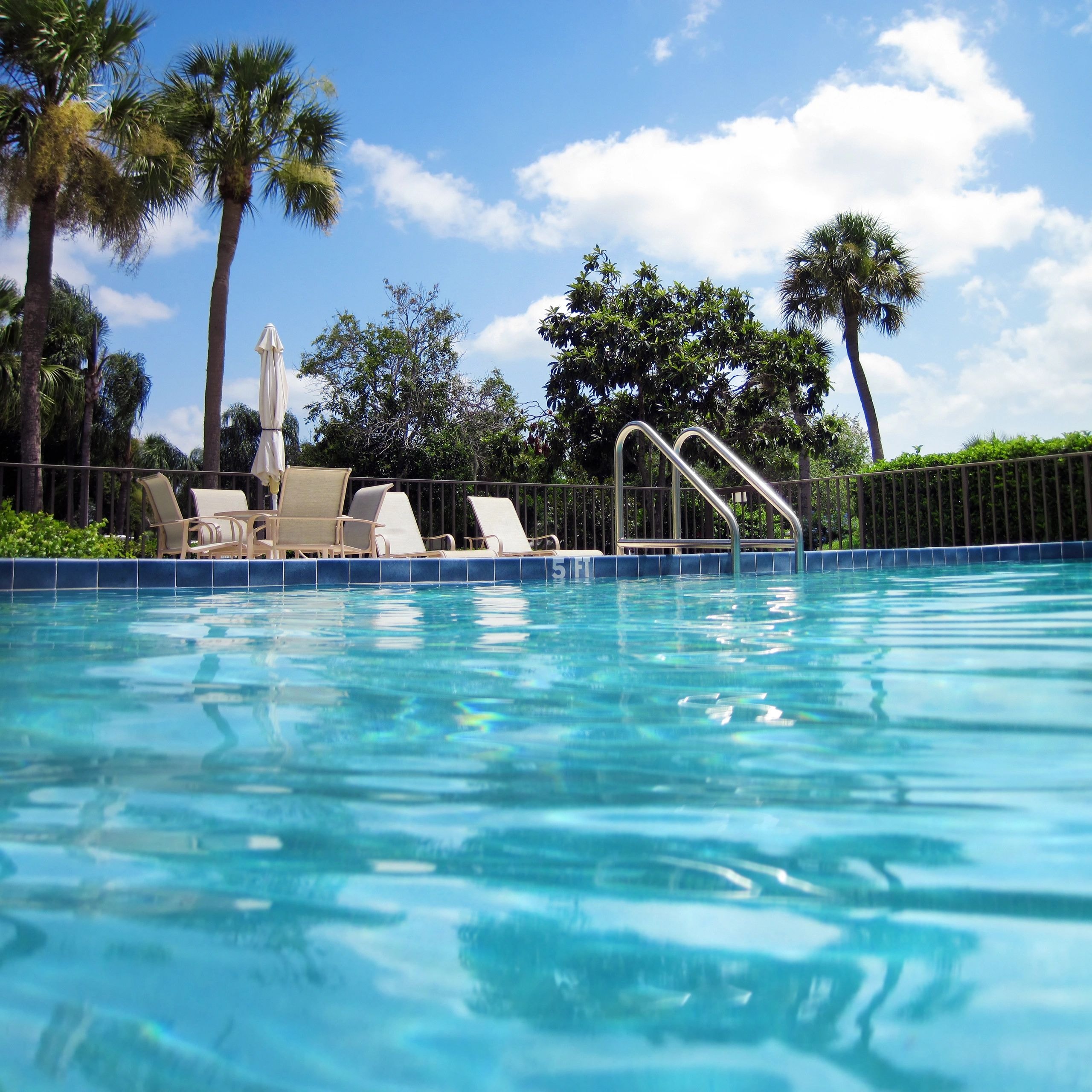 Luxury resort swimming pool with tropical setting